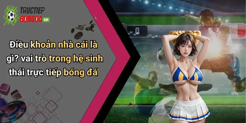 Điều khoản nhà cái là gì? vai trò trong hệ sinh thái trực tiếp bóng đá