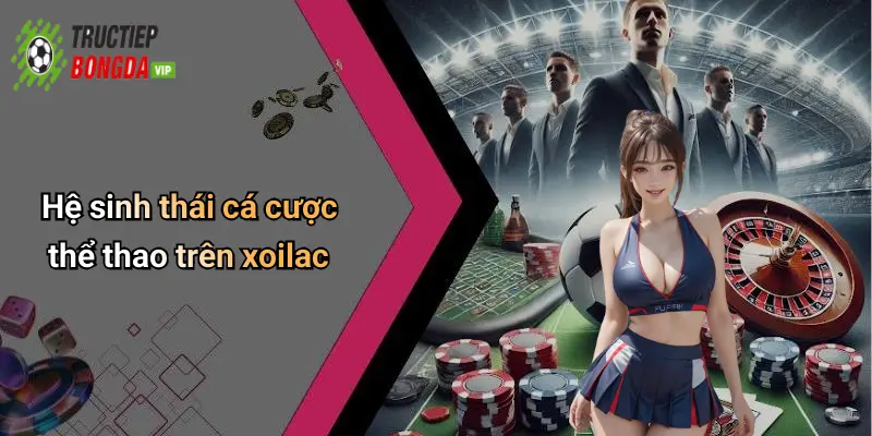Hệ sinh thái cá cược thể thao trên xoilac