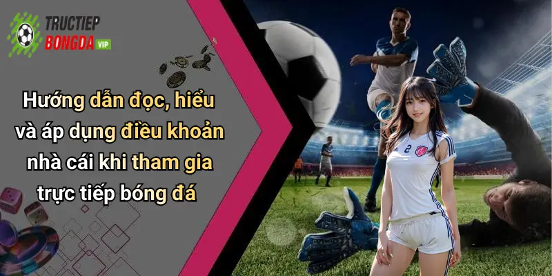 Hướng dẫn đọc, hiểu và áp dụng điều khoản nhà cái khi tham gia trực tiếp bóng đá