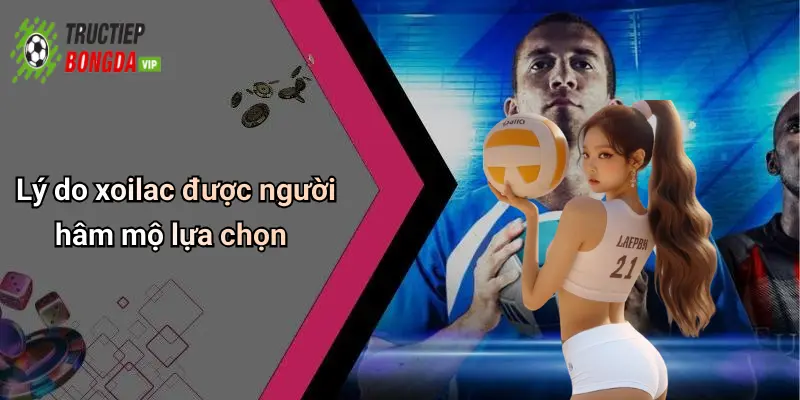 Lý do xoilac được người hâm mộ lựa chọn