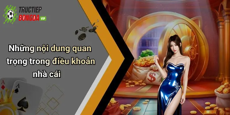 Những nội dung quan trọng trong điều khoản nhà cái