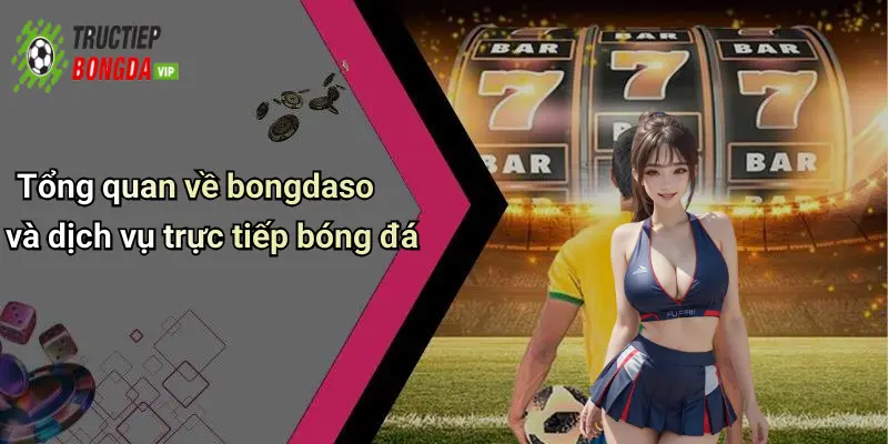 Tổng quan về bongdaso và dịch vụ trực tiếp bóng đá