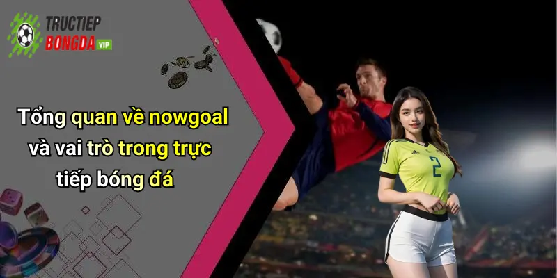 Tổng quan về nowgoal và vai trò trong trực tiếp bóng đá