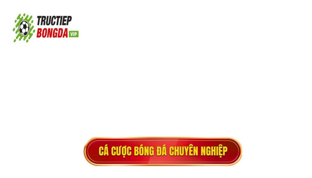 thumb - cá cược bóng đá chuyên nghiệp