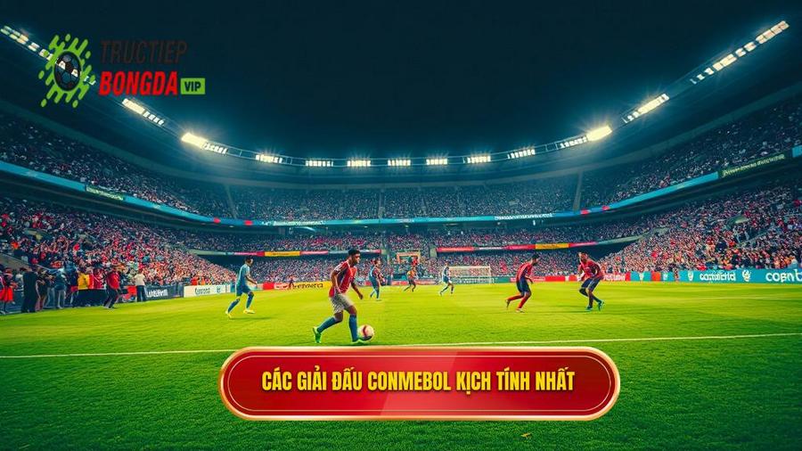 Các giải đấu trọng điểm khi soi kèo bóng đá các trận đấu CONMEBOL