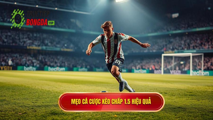 Tổng hợp mẹo cá cược kèo chấp 1.5 trái hiệu quả nhất