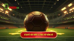Mẹo cá cược kèo chấp 1.5 trái giúp bạn thắng lớn tại frontdelest.com