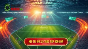 Kèo tài xỉu 2.5 toàn trận là gì? Bí quyết soi kèo thắng 99%
