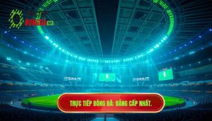 Xem bóng đá online hôm nay: Trải nghiệm đỉnh cao và giải pháp xem trực tiếp hoàn hảo